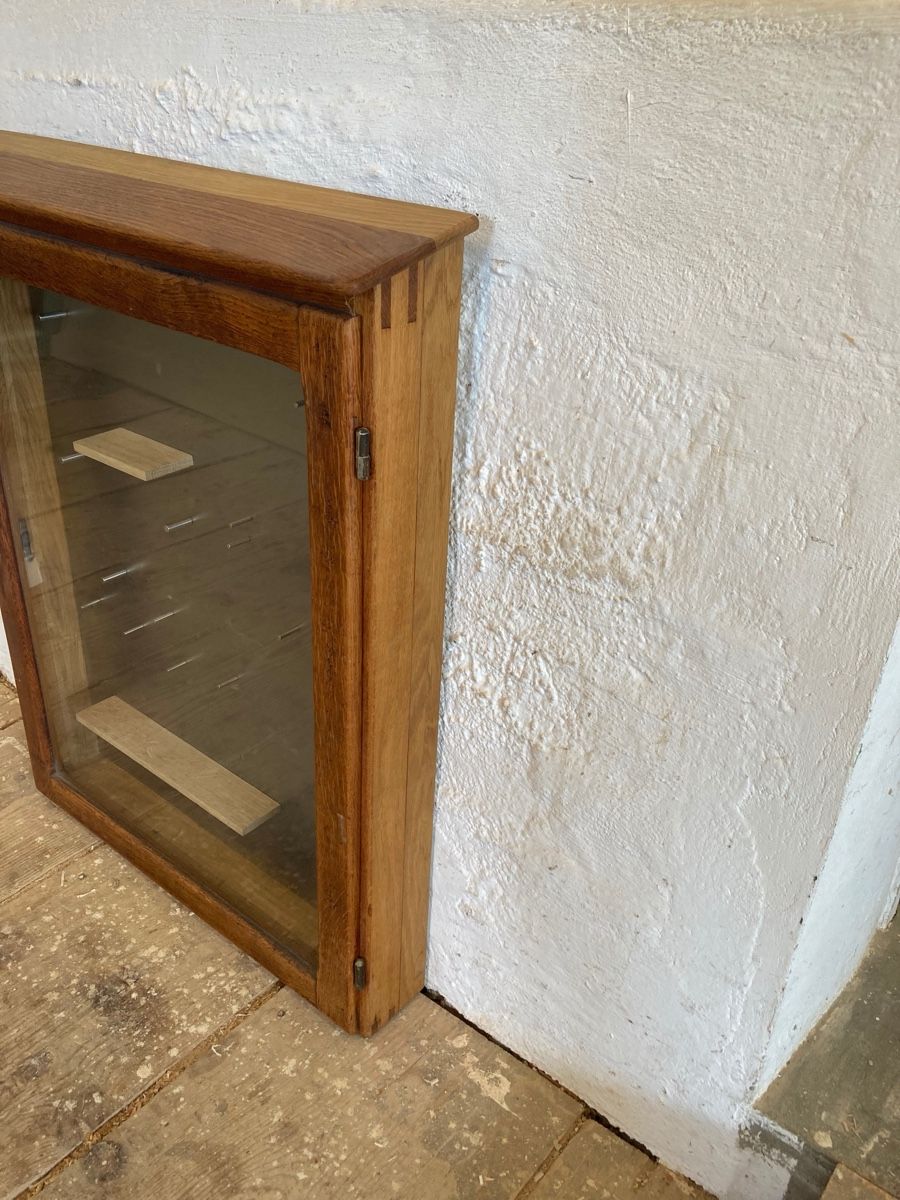 Vitrinen: WANDVITRINE VITRINE MAGNETISCH – Gebraucht aus Bottmingen von Surubi 2