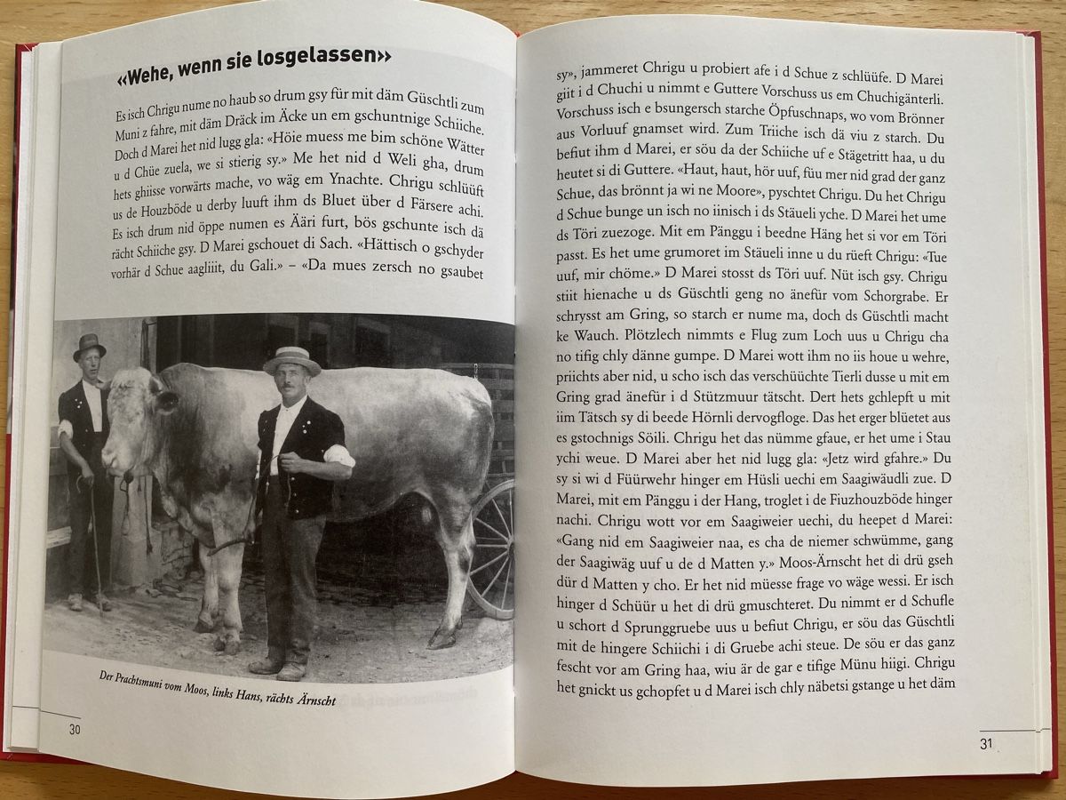Libri: Ds Schöneli-Huus  - Walter Reusser – Usato da Schwarzenburg venduto da Michellu 7