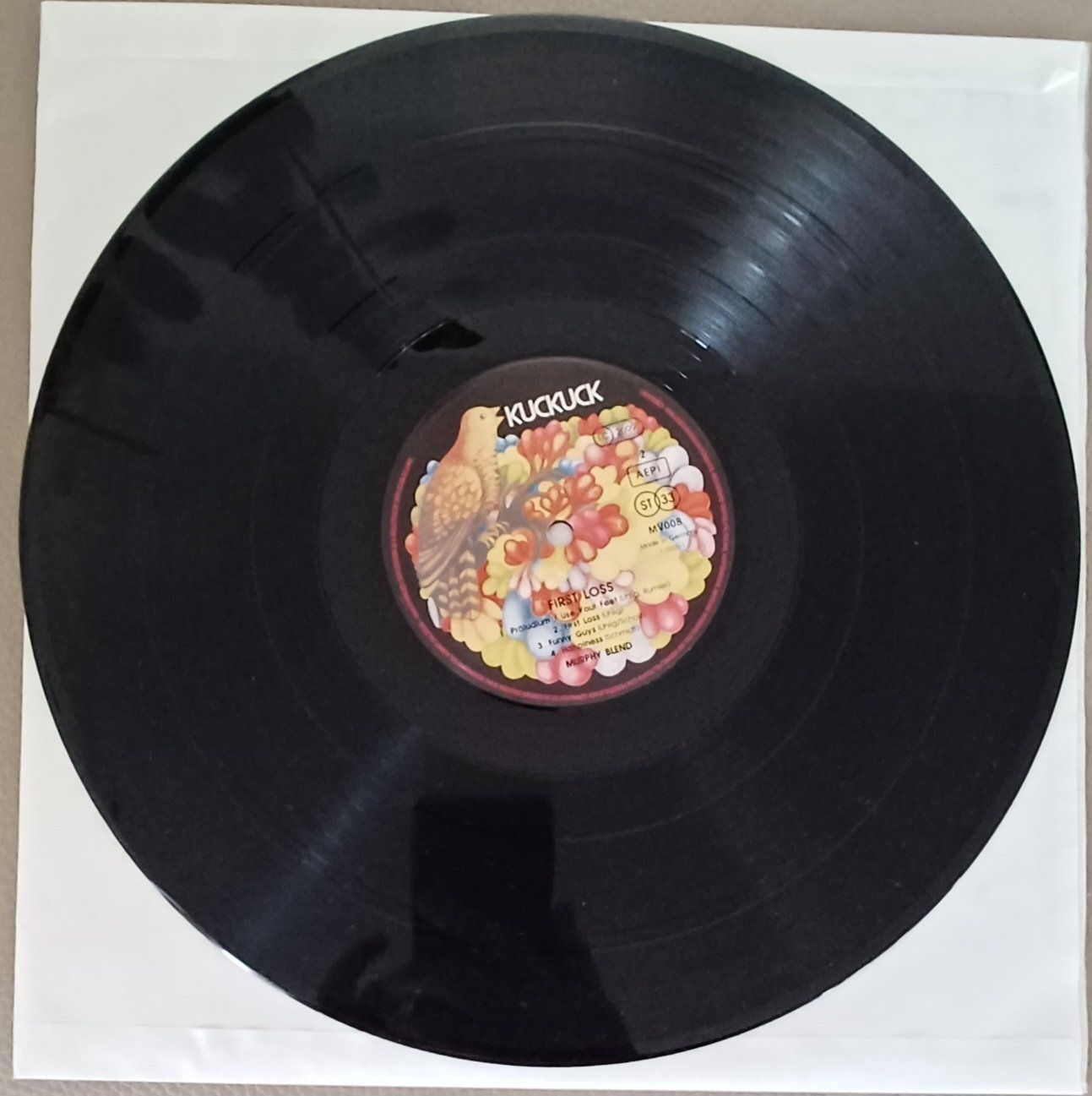 Dischi in vinile: First Loss - MURPHY BLEND 2009 RE, Prog Rock/Krautrock – Nuovo (secondo la descrizione) da Hägendorf venduto da Plattenhardt 3