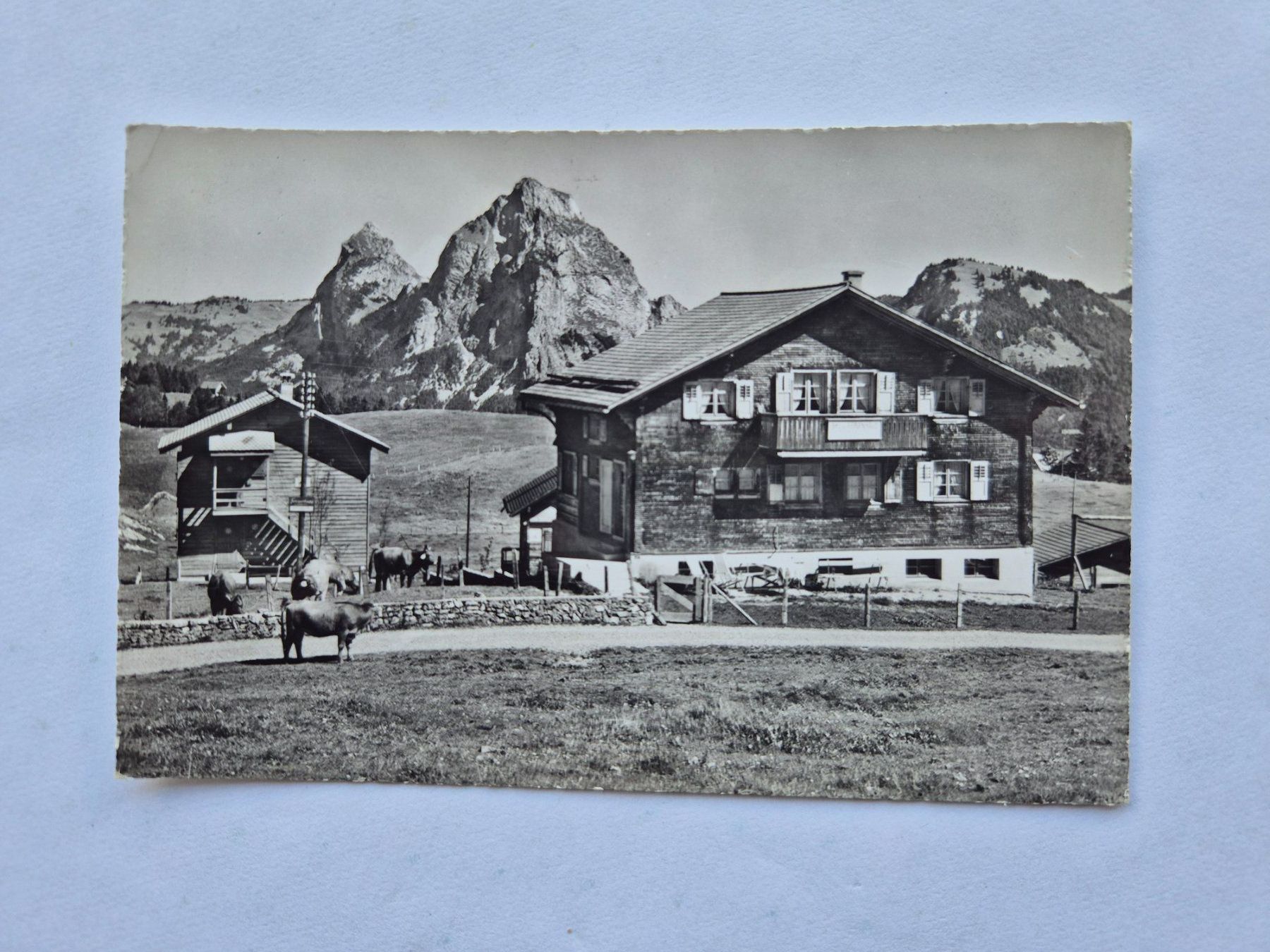 Cartoline postali: AK Ferienhaim Bürgler Karl – Usato da Langendorf venduto da zvonu161