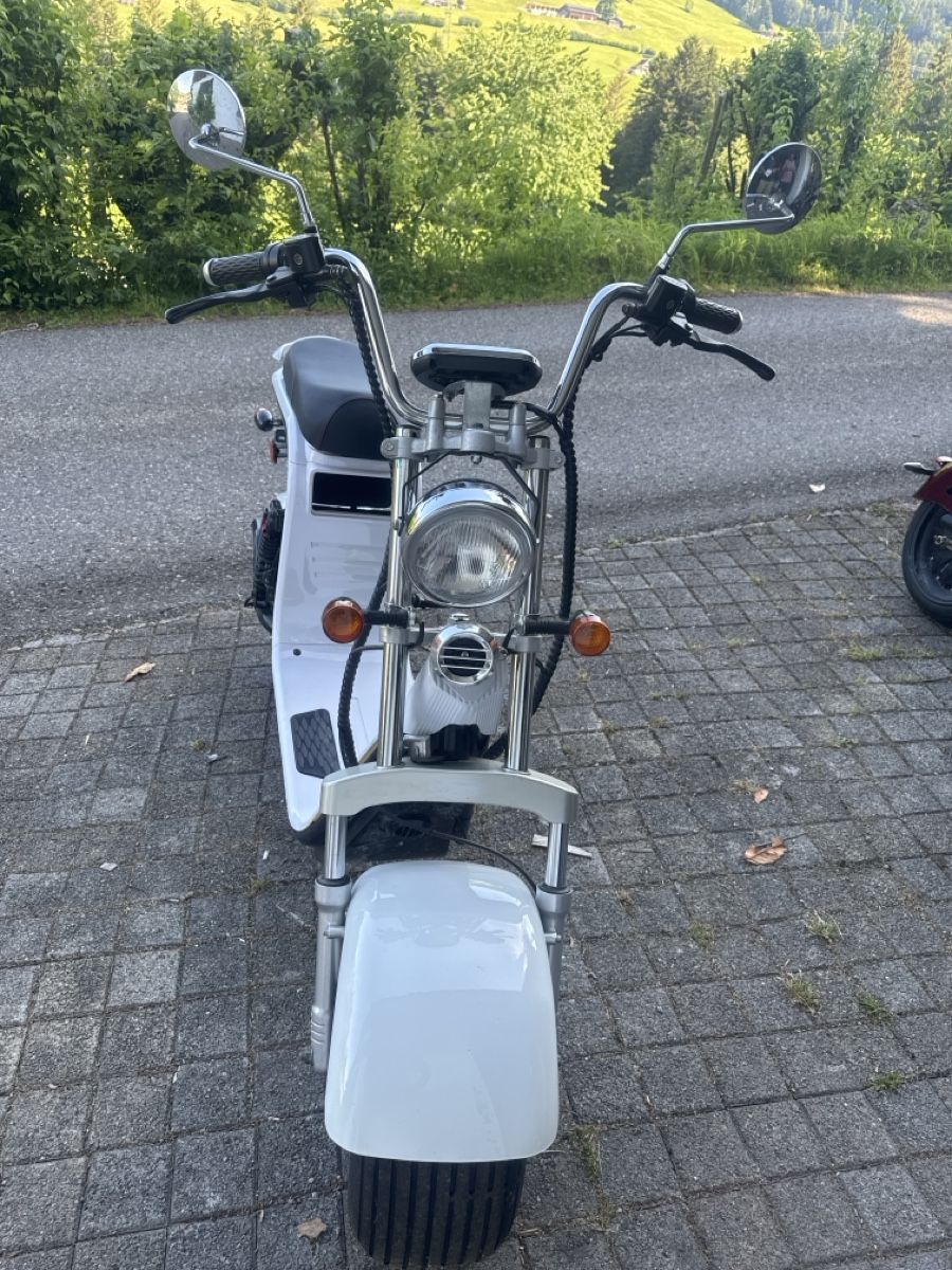 Veicoli elettrici: Elektro Roller – Usato da Wattwil venduto da kft_2nnd 2