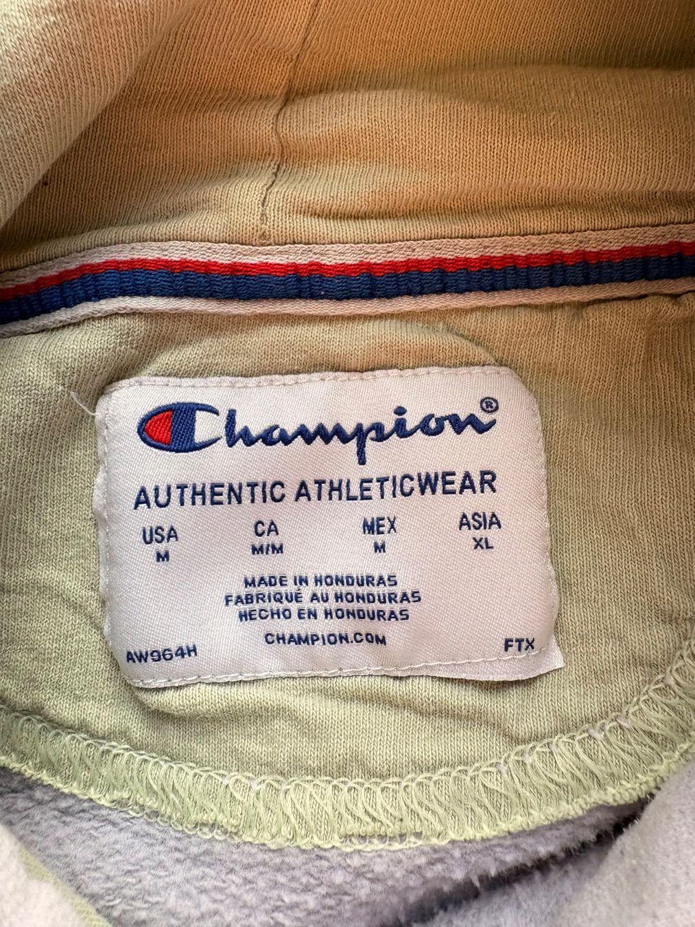 Champion Maglioni & Felpe: Champion Pullover – Usato da Wigoltingen venduto da _vntg_ 2