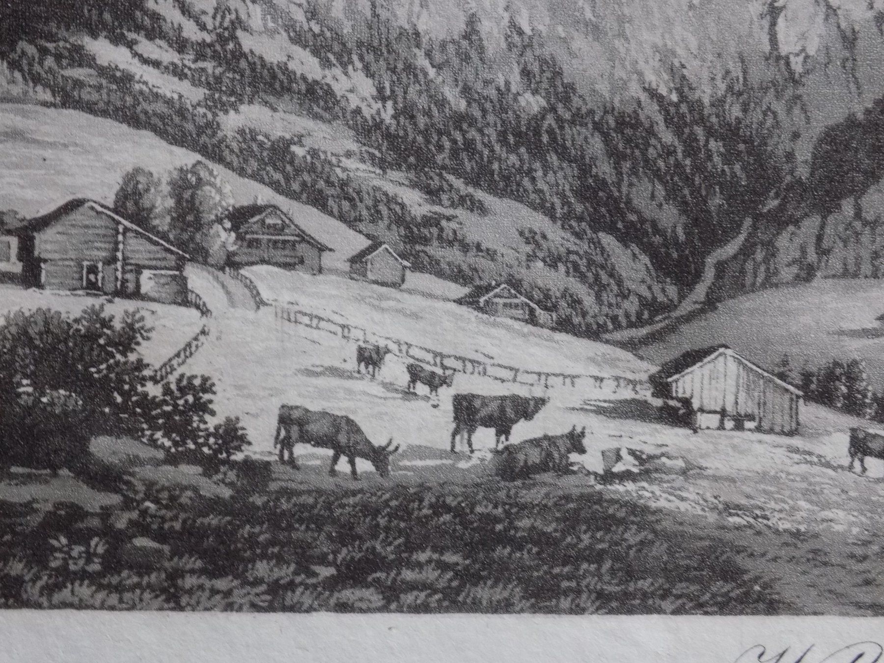 Incisioni: Wildenburg Wildhaus – Usato da Risch venduto da Rischli15 8