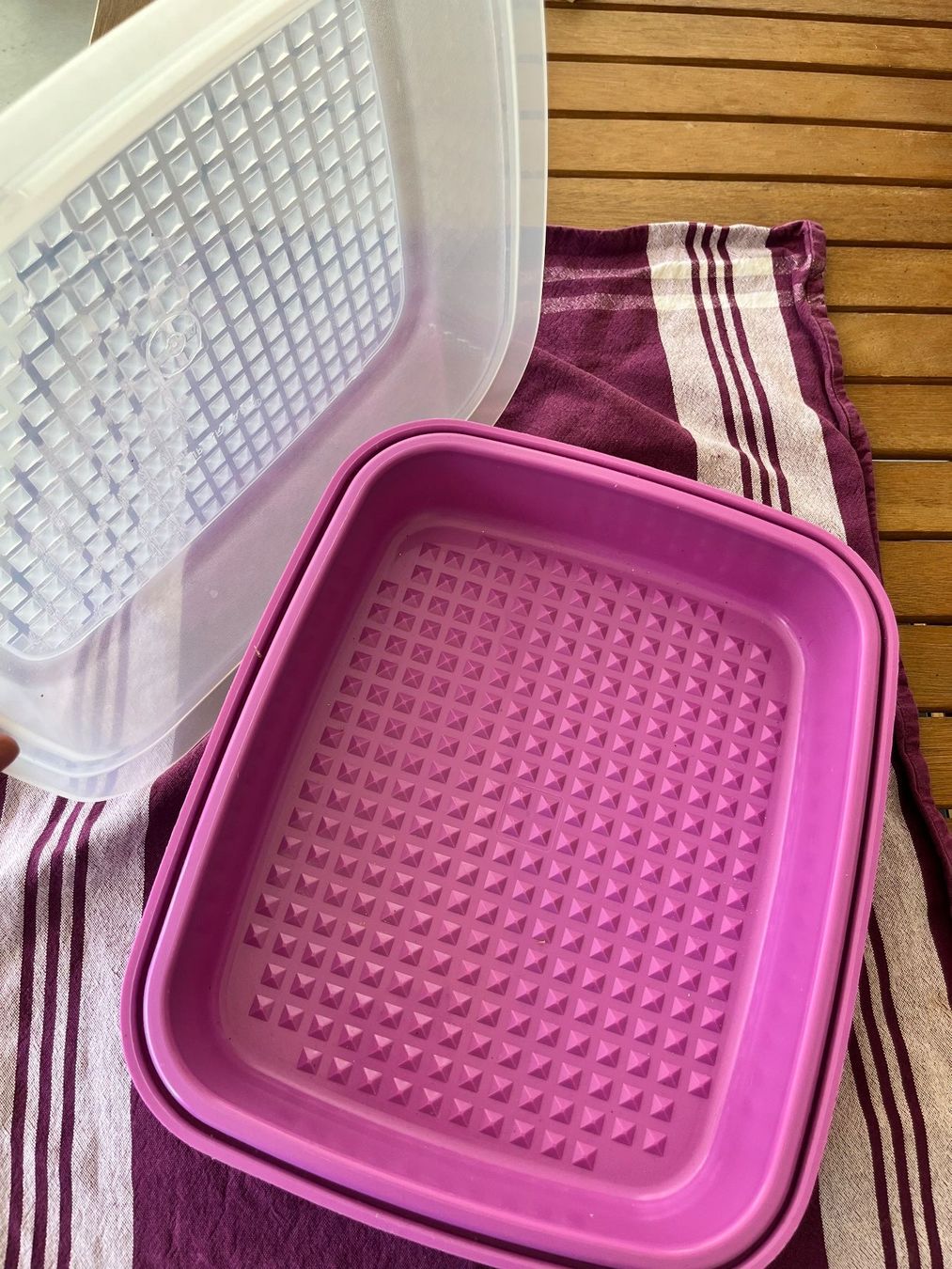 Tupperware Contenitori & Simili: Tupperware Fleisch marinierer – Usato da Wohlen AG venduto da dud_gm6p 1