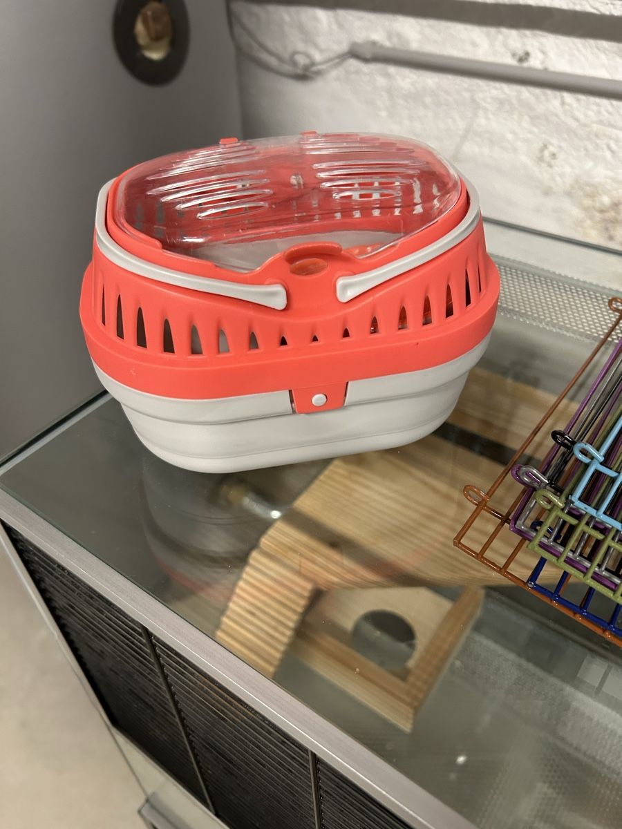 Terrariums: Terrarium 2 Stück – D'occasion à Gränichen par ZUMA81 5