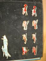 Sammler Pins