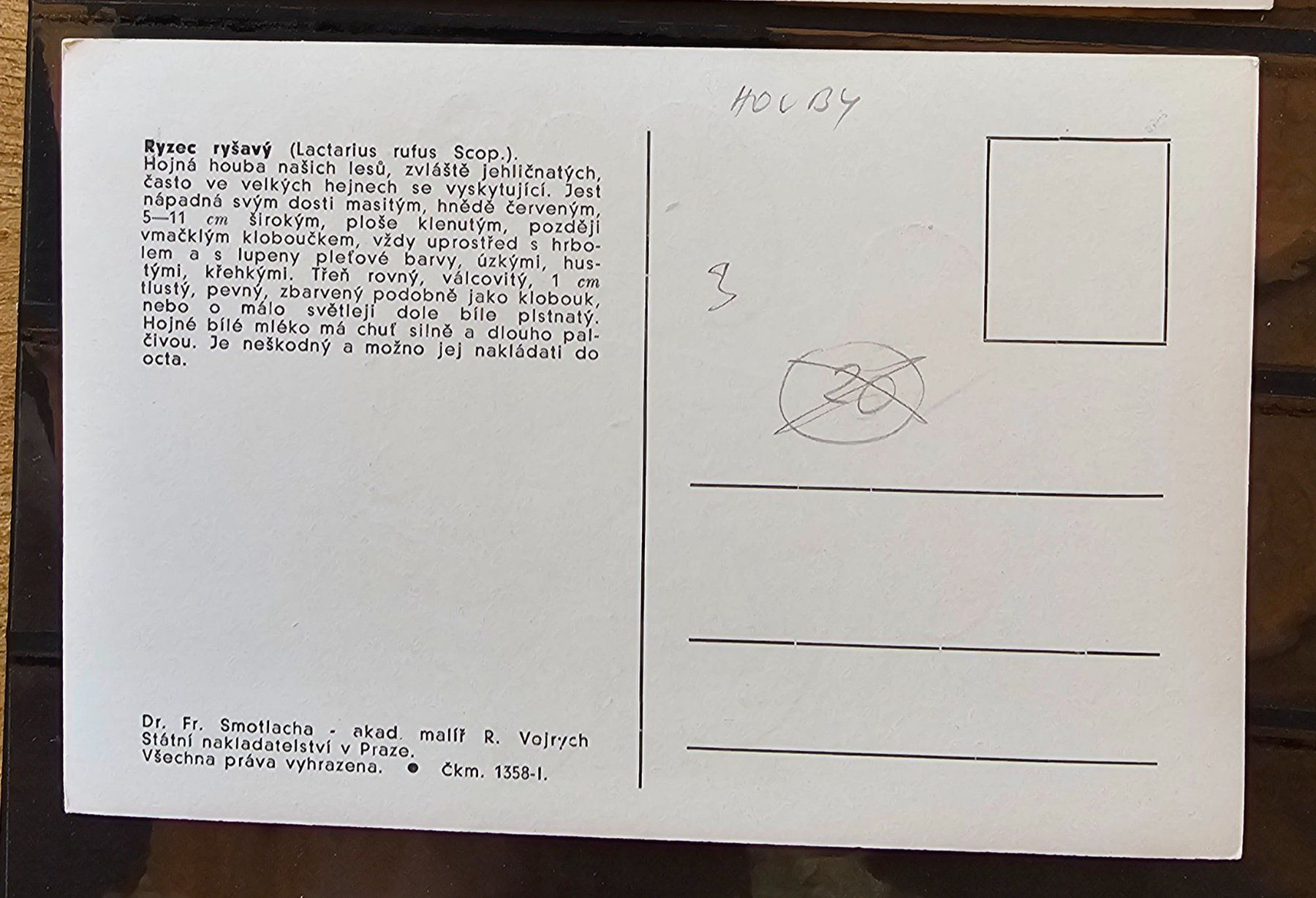 Cartoline postali: 2 Postkarten - Motive Pilze – Nuovo (secondo la descrizione) da Les Valettes venduto da Nuba1 1