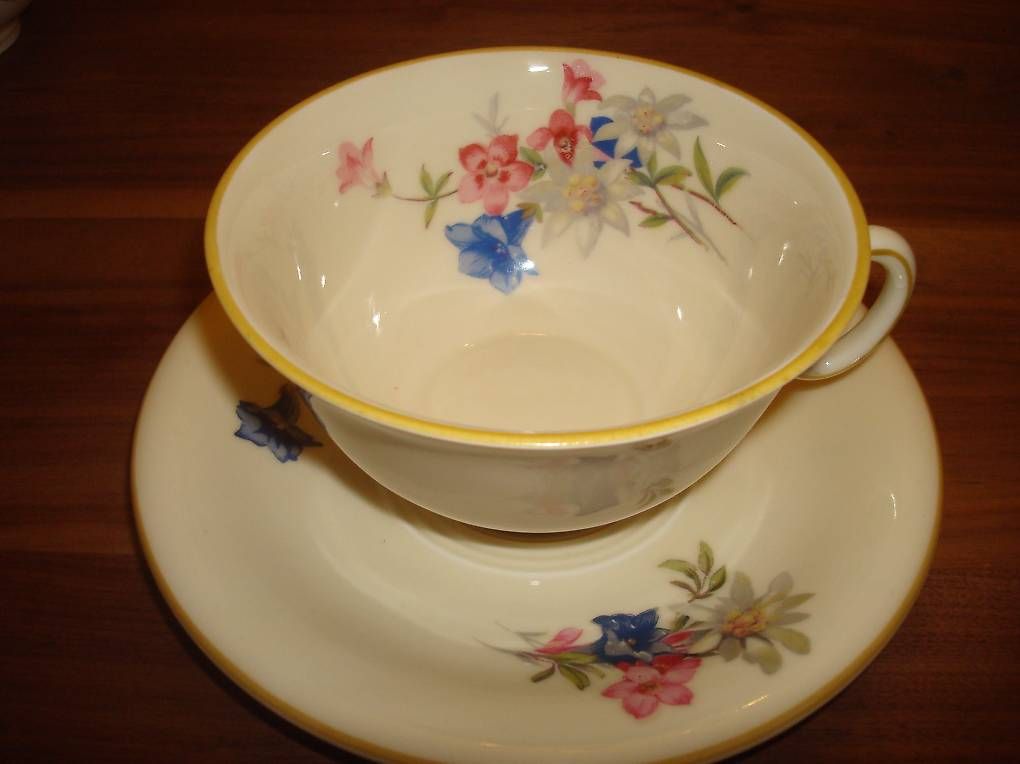 Hutschenreuther Geschirrsets: Vintage  Café - Tee Service Hutschenreuther – Gebraucht aus Domat-Ems von Orbit43 1