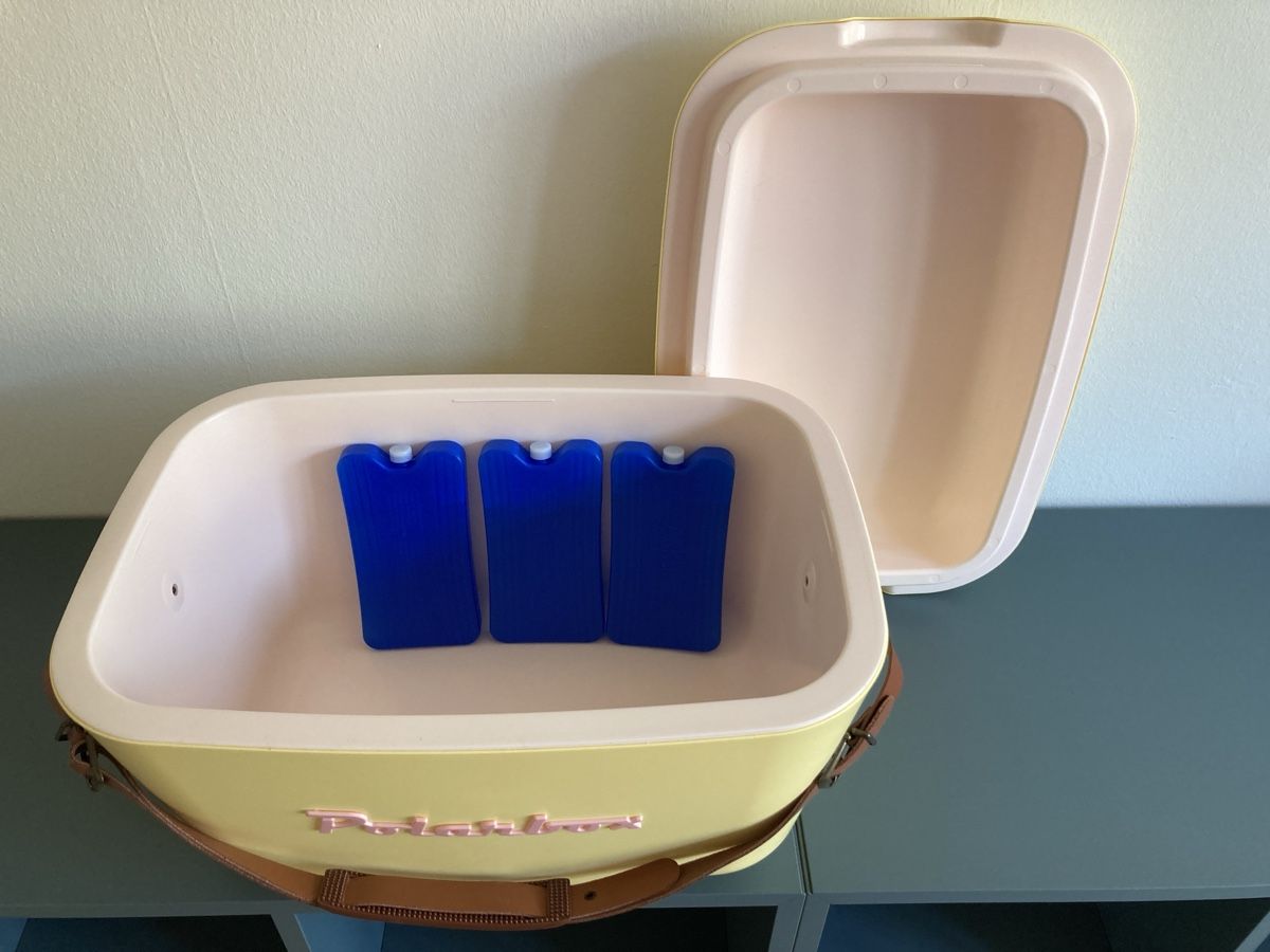 Frigoriferi & Refrigeratori: Polarbox Kühlbox – Nuovo (secondo la descrizione) da Bern venduto da der_cenzo 1