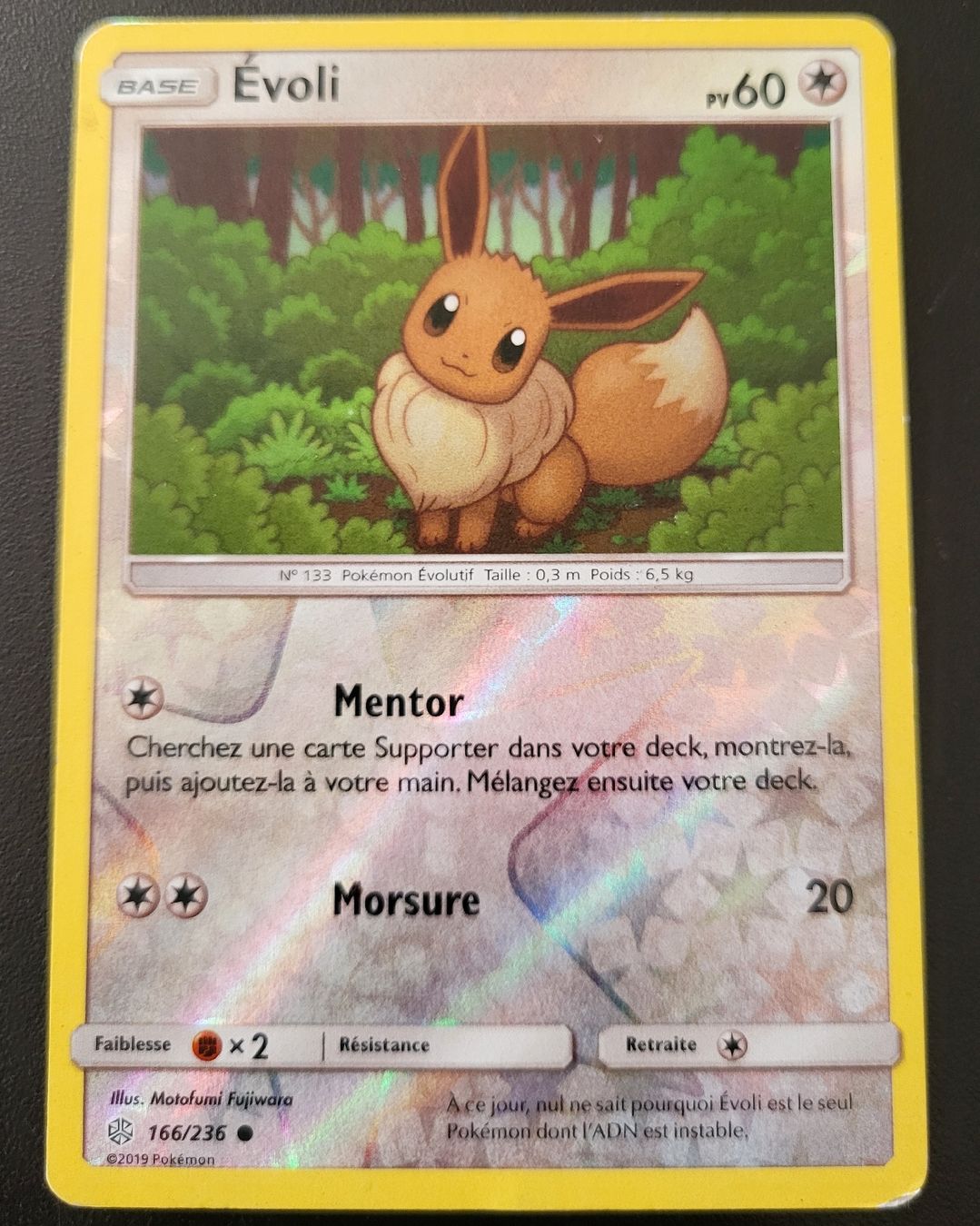 Pokémon Sammelbilder & Trading cards: Evoli Eclipse cosmique FR – Gebraucht aus St-Sulpice VD von cel_ysf7