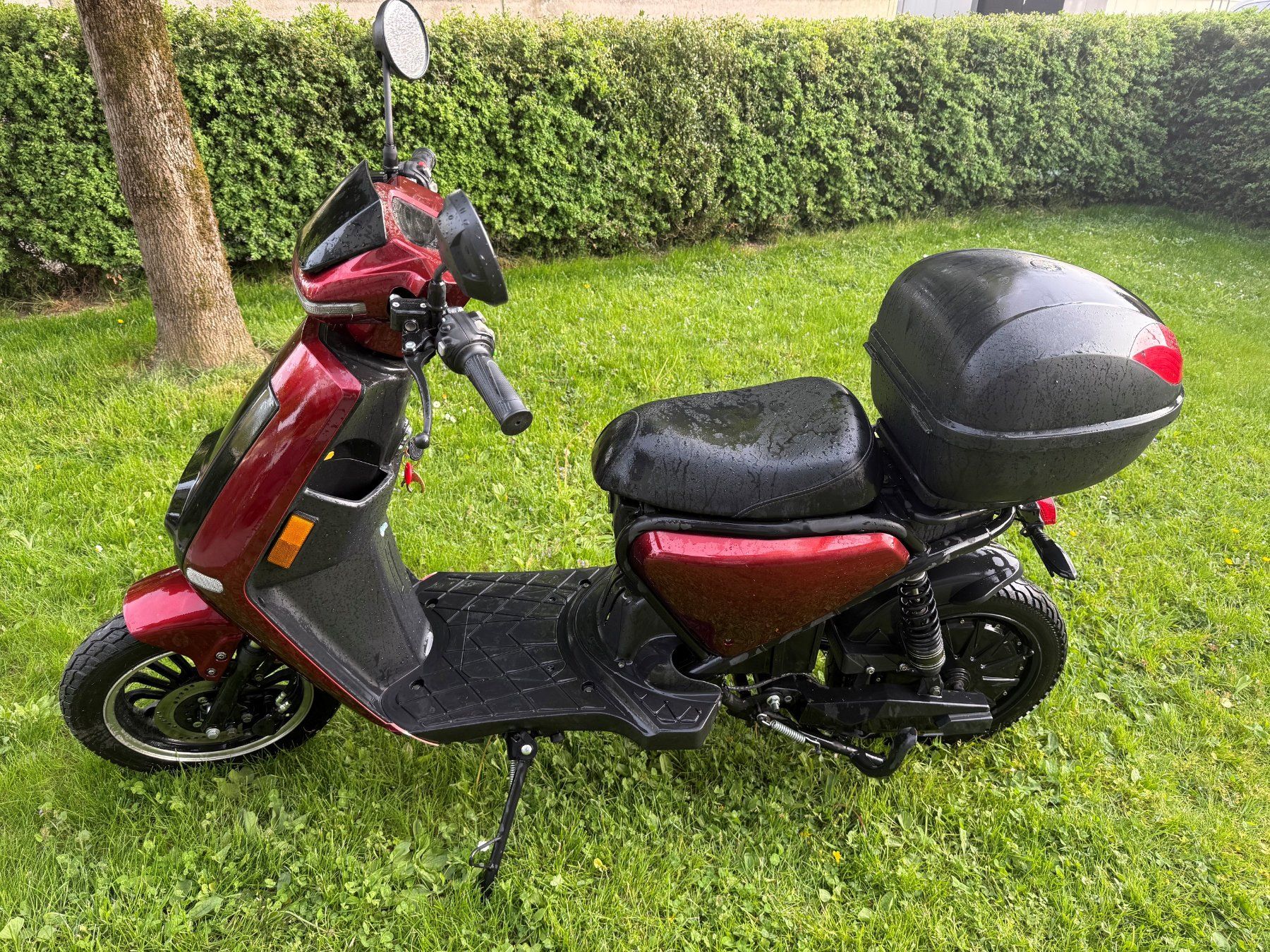 Next Electric Motors Scooters: Elektro-Roller FORZA NEXT – Défectueux à Oberburg par Petite-Suisse 1