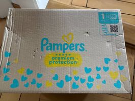 Windeln Pampers 1 Monatsbox - neu, originalverpackt