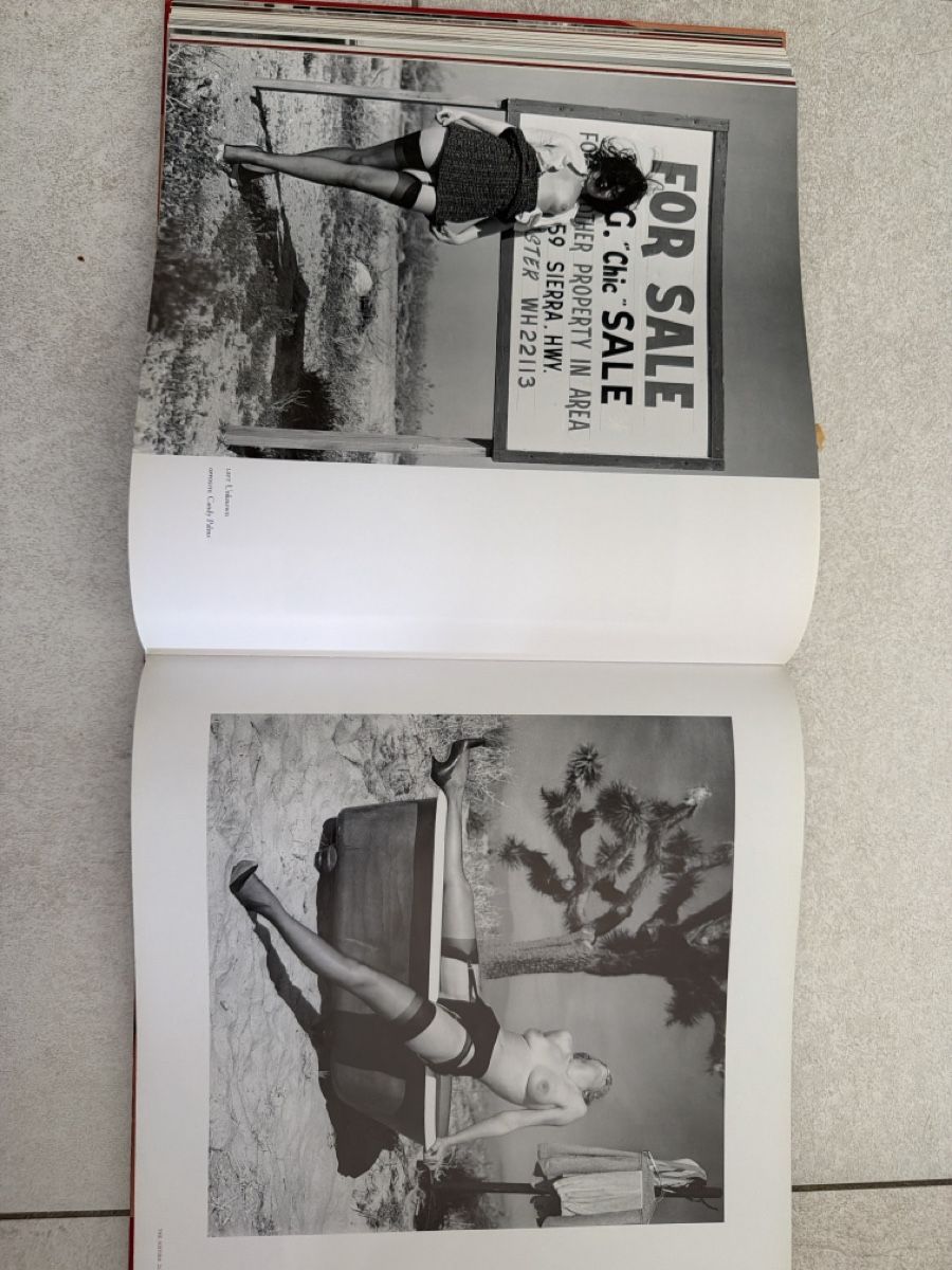 Bücher: Book " Pin-Ups" excellent condition – Gebraucht aus Martigny von Jacoosh1234 8