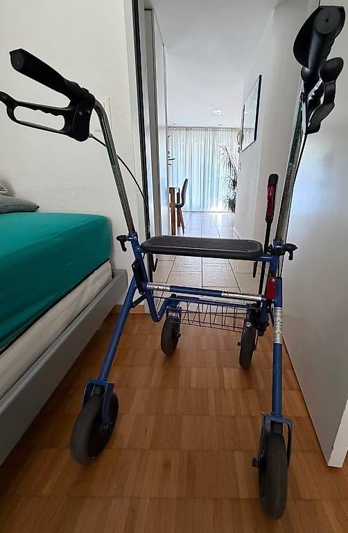 Aides à la marche: Rollator Landi – D'occasion à Fahrweid par zdriver 1