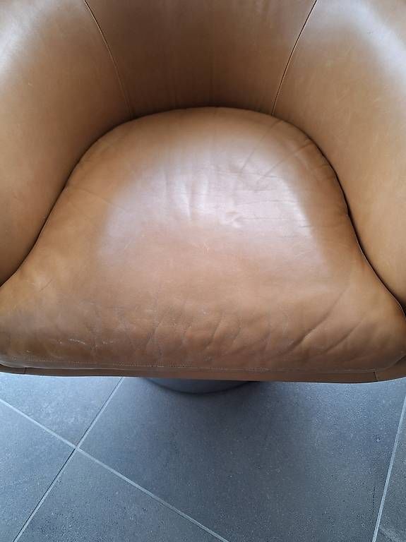 Poltrone: Fauteuil lounge vintage Leon Rosen – Usato da Saillon venduto da Monart23_ 3