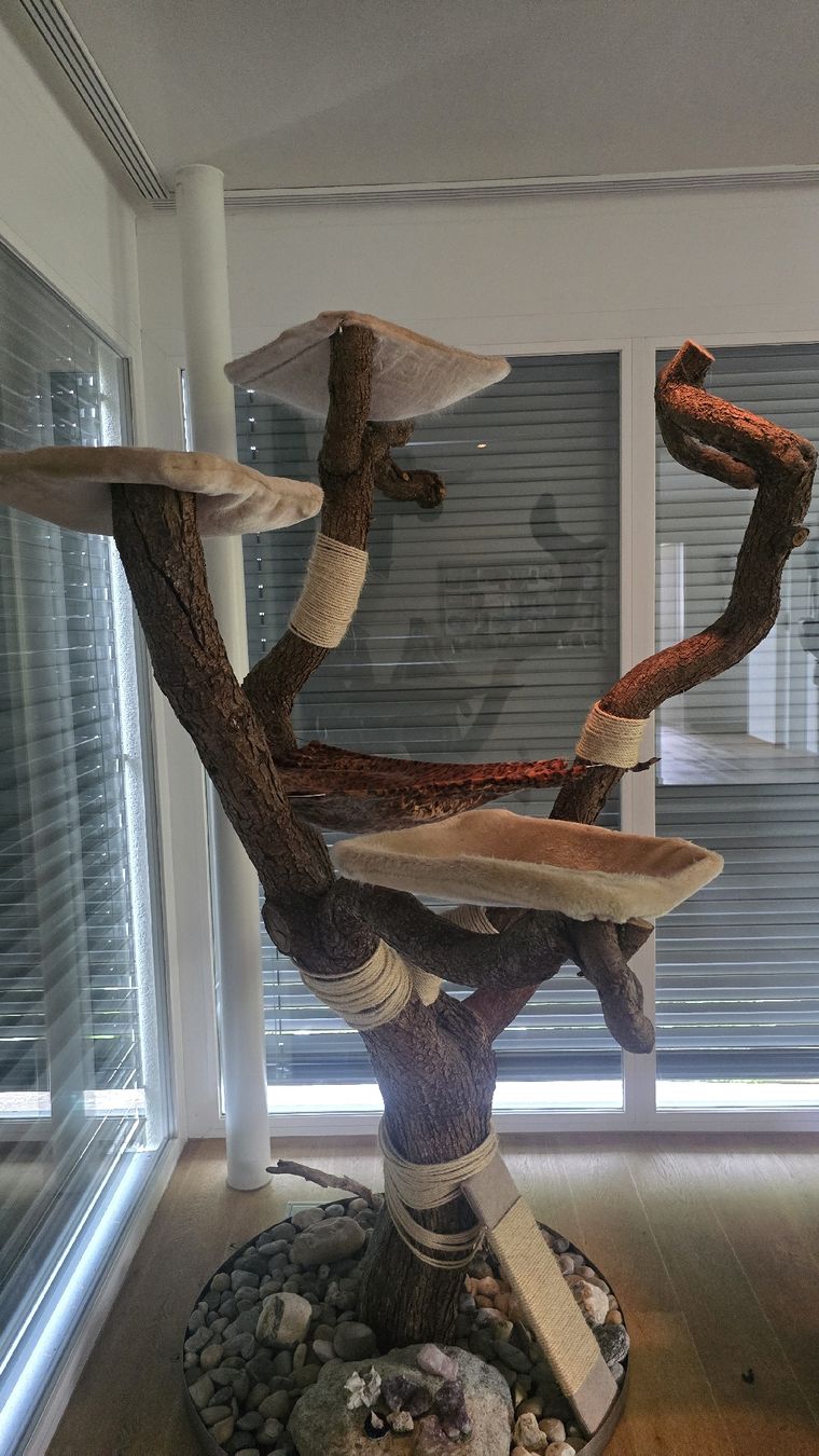 Arbres à chats: Katzenbaum Natur – D'occasion à Buchrain par urs_nq9w 1