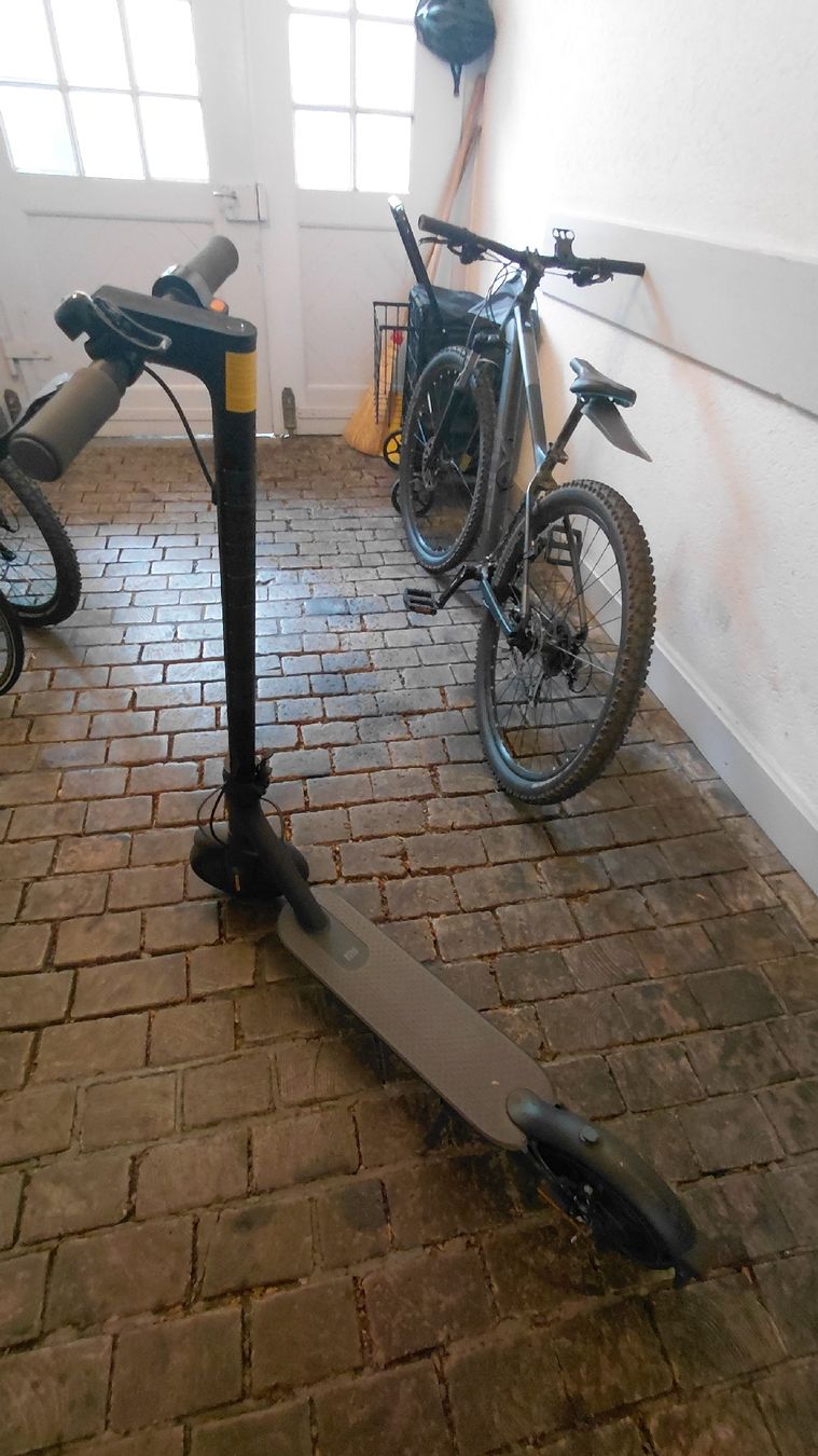 Xiaomi Kickboard: Xiaomi E Scooter Essential – getuned 30 km/h+ – Usato da Basel venduto da flash_sales 1