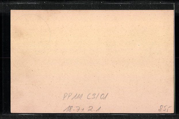 Ganzsachen: Ganzsache PP111C3 /01: Heidelberg, 9. Bu – Gebraucht aus Berlin von bartko-reher 1