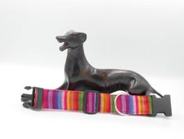 Collier lévrier 4 cm 