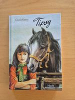 Jugendbuch mit Pferden