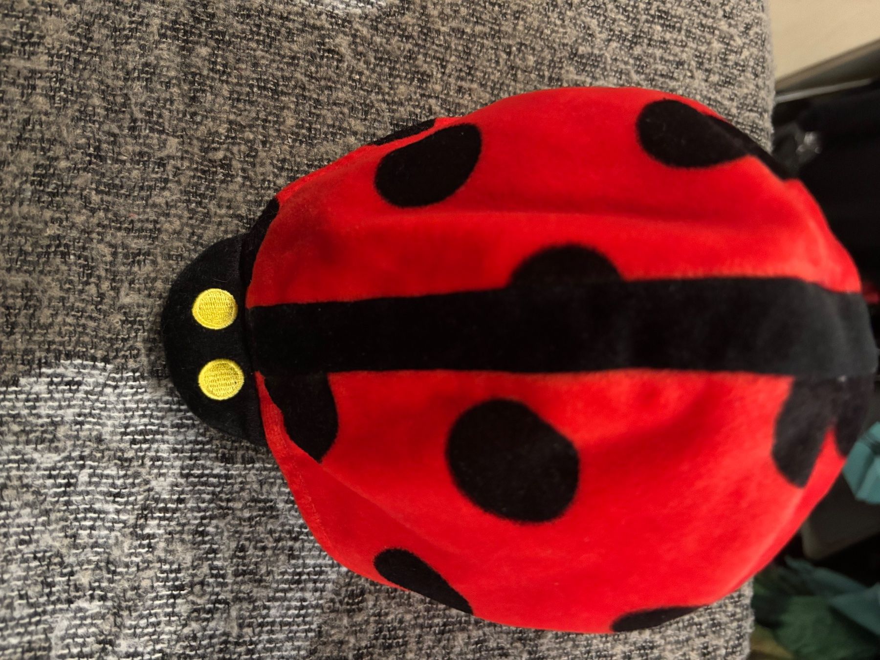 Copricapi, berretti & cappellini: Cappello da Coccinella per Bambini – Usato da Regensdorf venduto da Piritatti 2