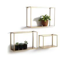 2x Goldene Hiba Wandregale im Industrial Design, Neu!