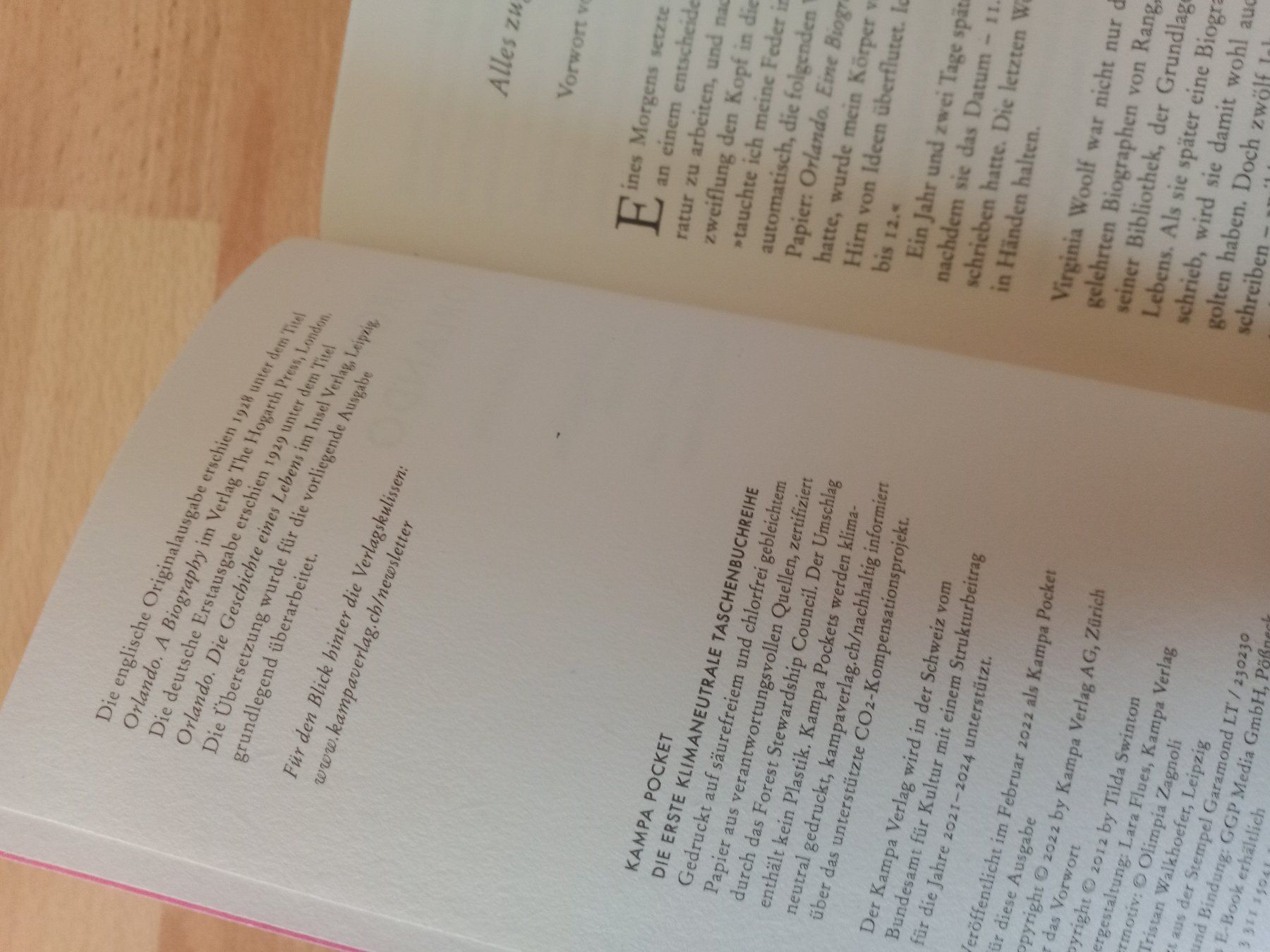 Livres: Virginia Woolf Orlando Roman Klassiker – Neuf (Voir description) à Wangen b. Olten par EmilythestrangeX 2