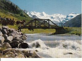 Rosegtal 1977