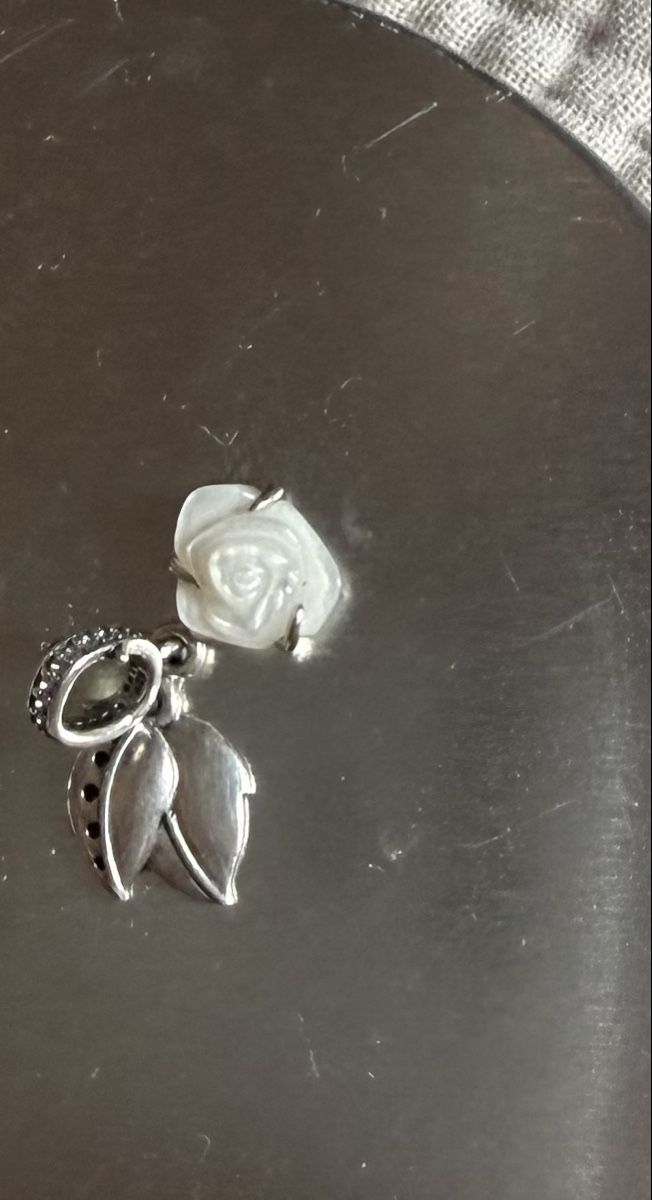Pandora Ciondoli: Pandora Charm – Nuovo (secondo la descrizione) da Winterthur venduto da zwa_tr97
