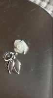 Pandora Charm