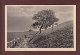 APPENZELLERLAND - Morgendämmerung