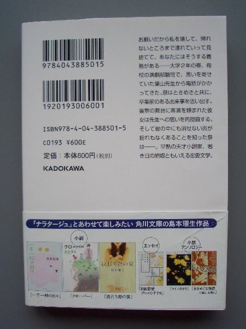 Bücher: Japanisches Taschenbuch 10 – Gebraucht aus Dalin von sup_8qj5 1