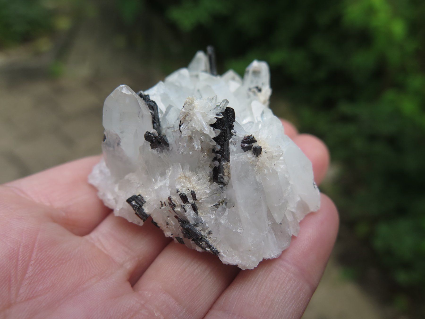 Mineralien & Heilsteine: Bergkristall mit Hübnerit – Gebraucht aus Schaffhausen von Yamakana51L8736OQ8