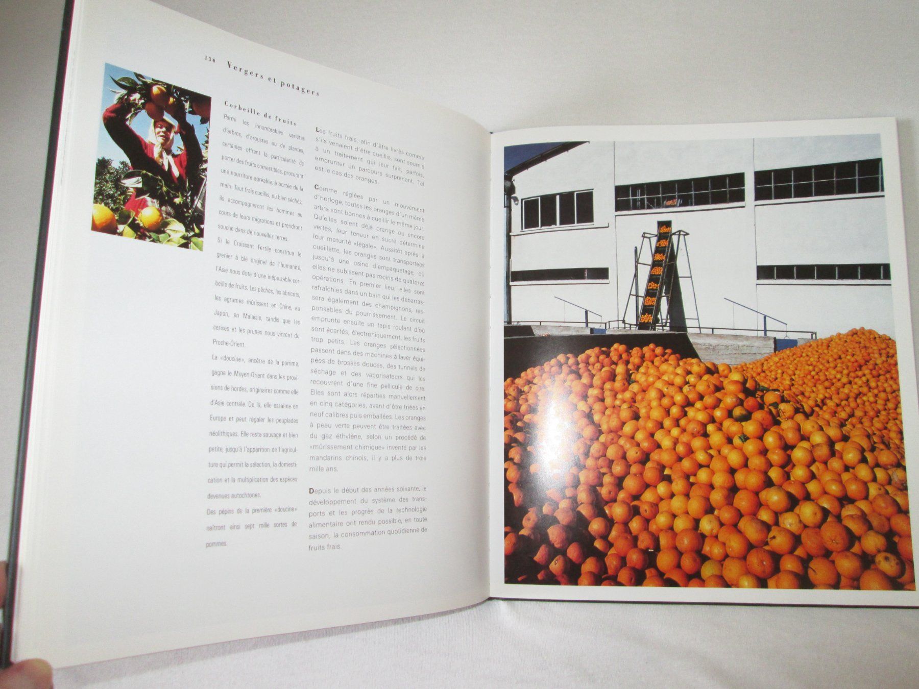 Libri: 2 millions d'années d'industrie alimentaire – Usato da Neuchâtel venduto da Dualseele 9