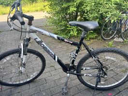 Leopard Tiger Cat Fahrrad, Sommer-Velospass, gut erhalten