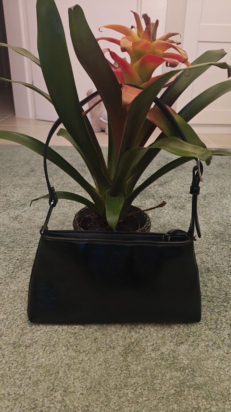 Mango Borse da donna: Stilvolle kleine schwarze Tasche – Usato da Thalwil venduto da hri_s2bq 1