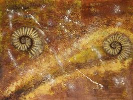 Acrylbild Ammoniten