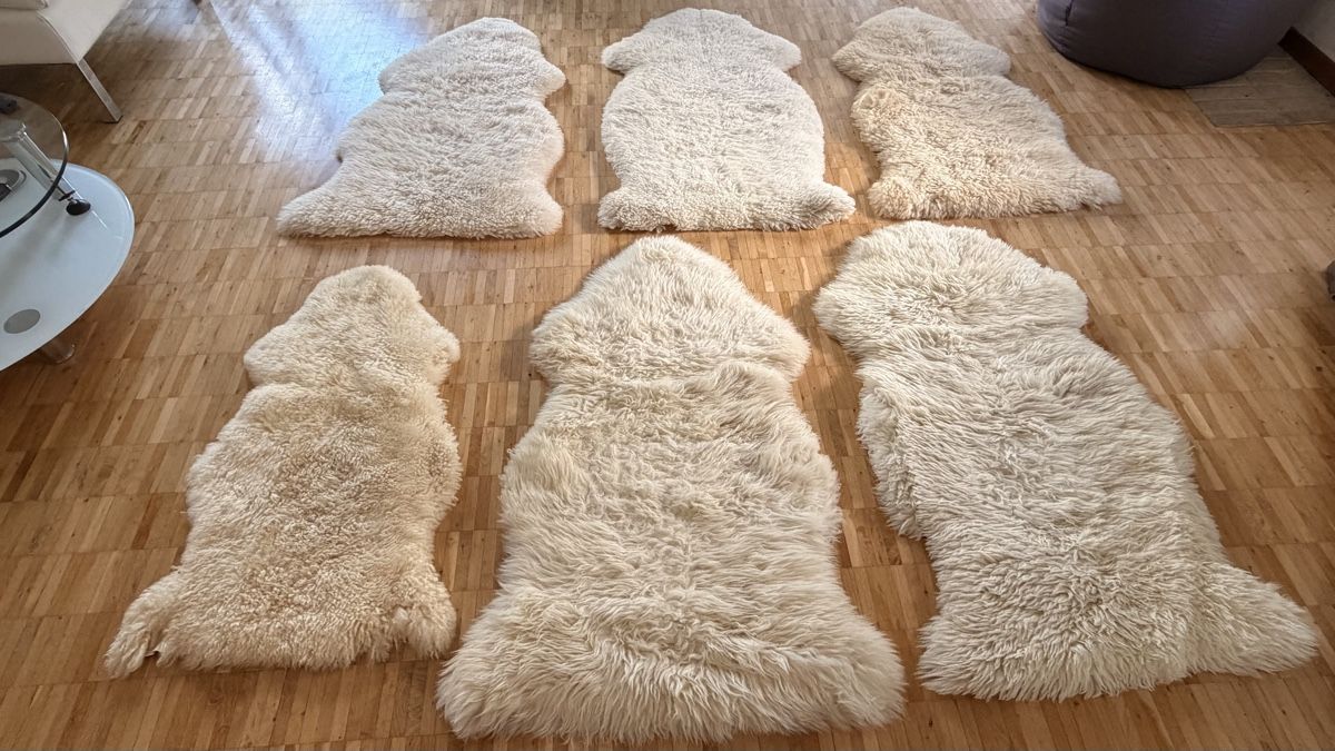 Tapis: 6 echte Schaffelle, cremweiss – D'occasion à Dübendorf par Scuba_gaby