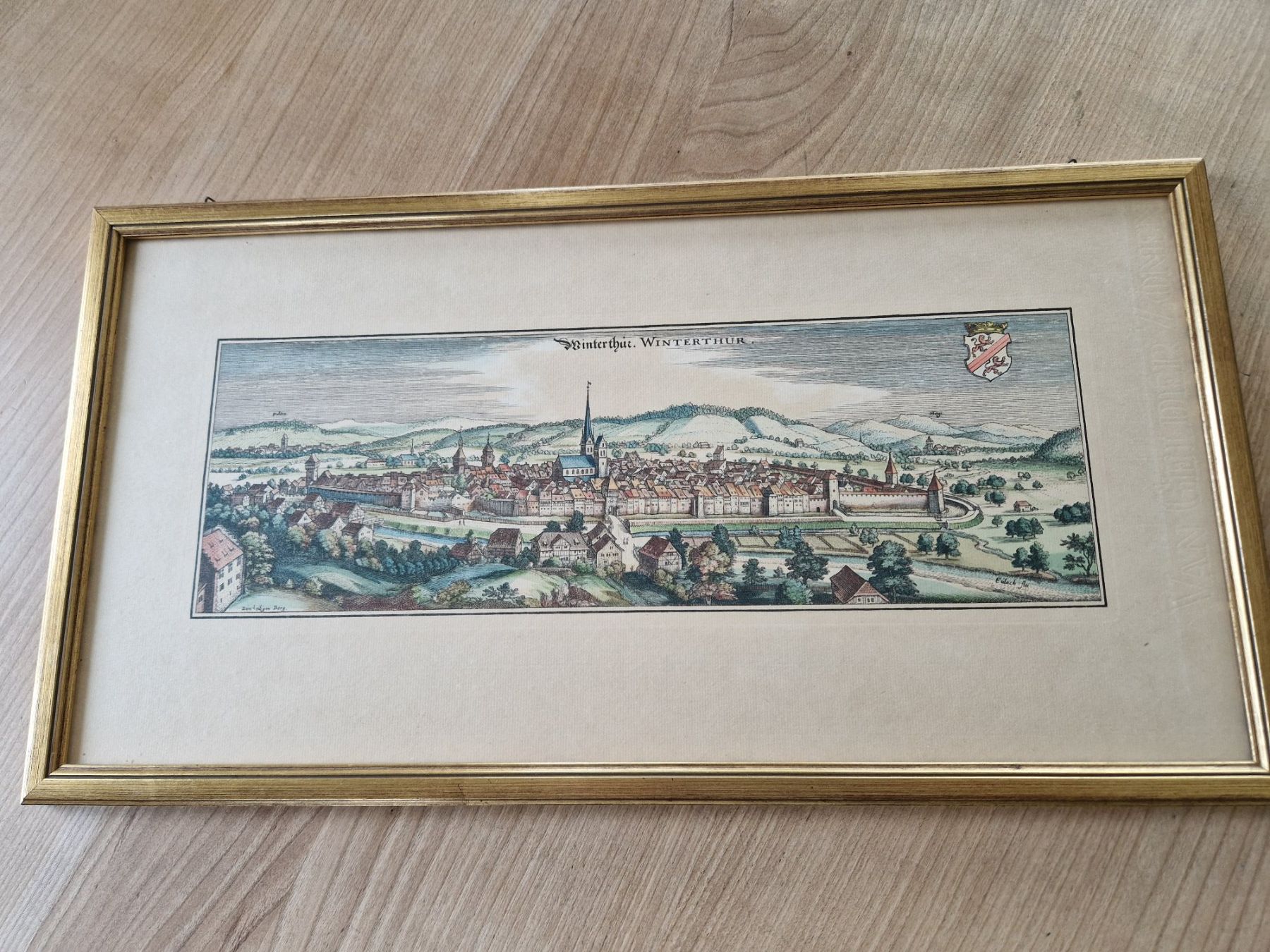 Incisioni: Winterthur -Städtische Ansicht Stich – Usato da Frauenfeld venduto da gre_vnj9