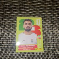 panini