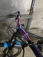 Mountainbike Fully Carbon Fox Dämpfer guter Zustand