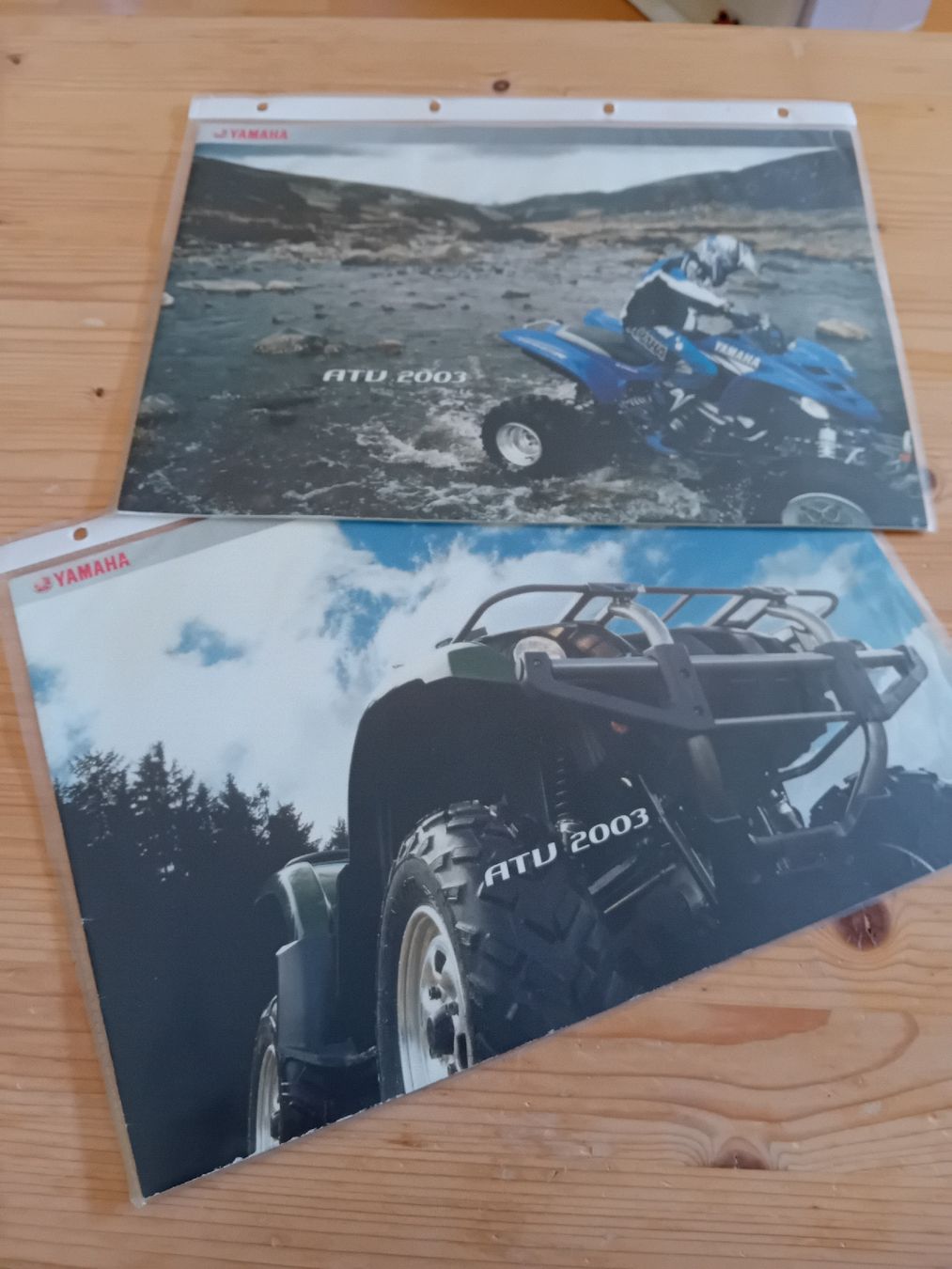 Documenti: Yamaha ATV und Quad Prospekte 2003 2 Stk – Usato da St. Urban venduto da volvodreamer