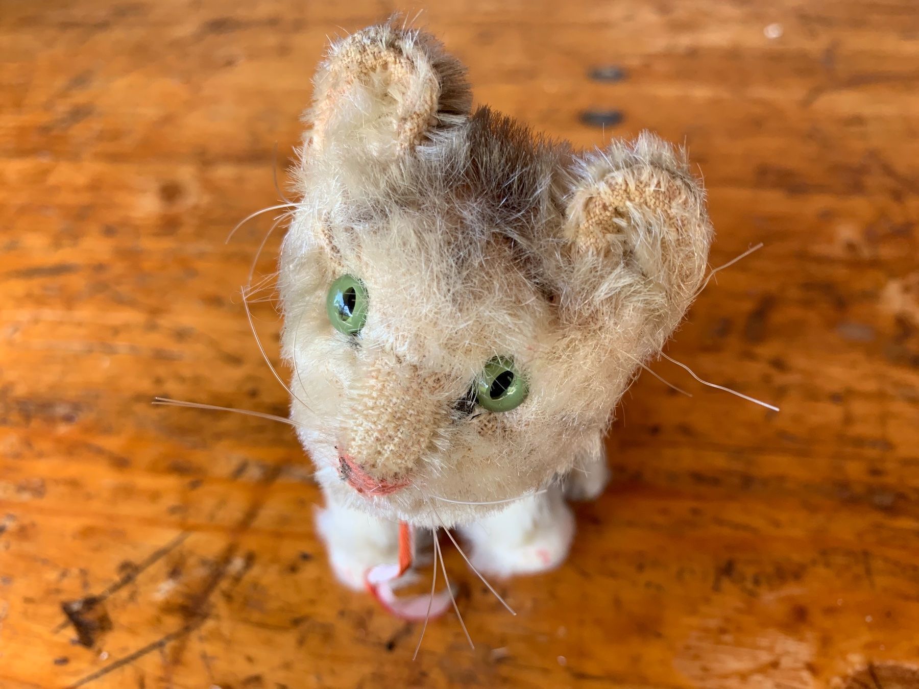 Steiff Spielzeuge: seltene antike herzige Steiff Katze – Gebraucht aus Feldbach von Olive1 2