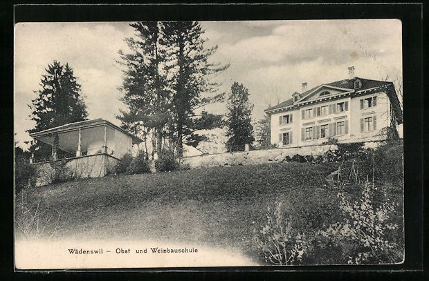 Cartes postales: AK Wädenswil, Obst- und Weinbauschule – D'occasion à Berlin par bartko-reher