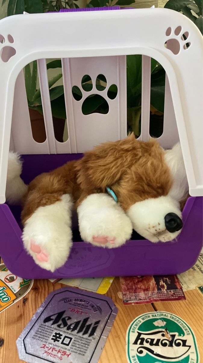 Spielzeuge: Little Live pet Puppet nie benutzt – Gebraucht aus Zürich von juliearlt 2