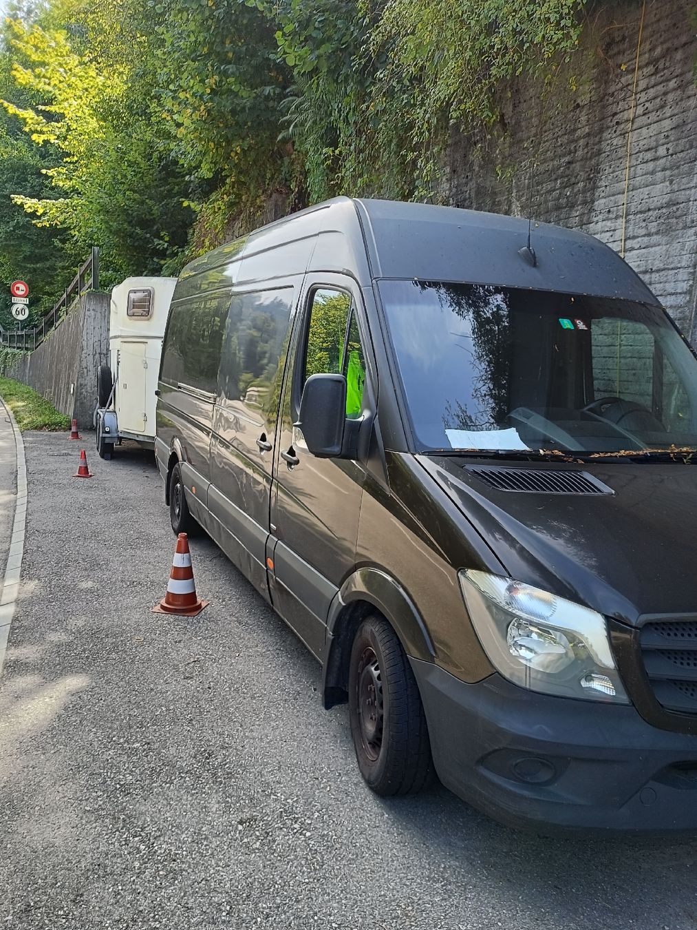 Mercedes-Benz Véhicules utilitaires: Mercedes 316 – D'occasion à Sihlbrugg par Z...D 1