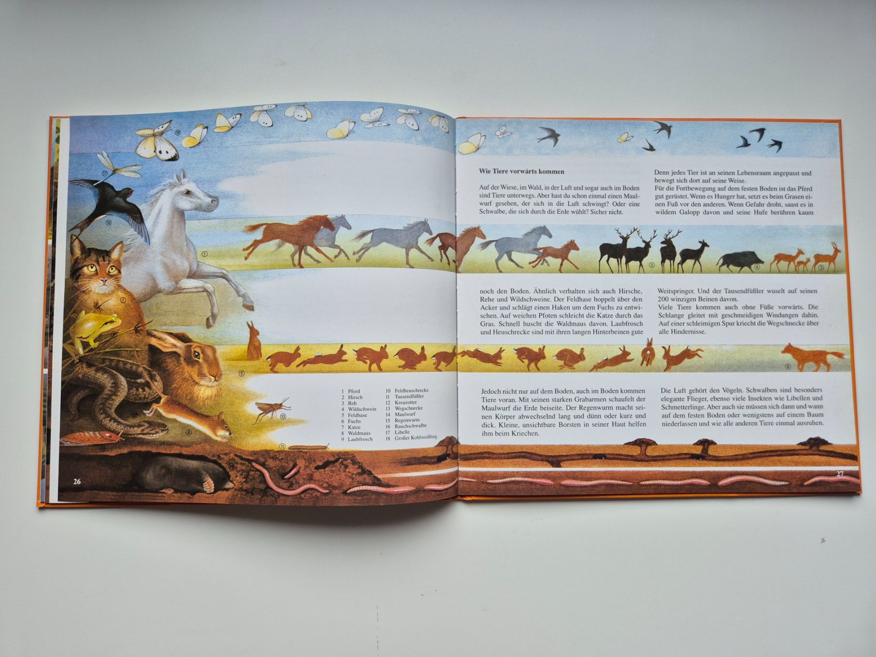 Libri: Die Erd Uhr                 Una Jacobs – Usato da Niederweningen venduto da Obson 7