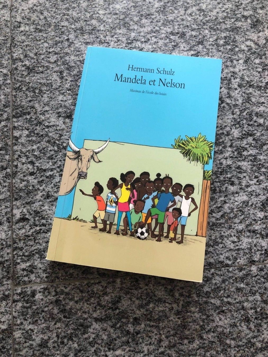 Libri: Hermann Schulz - Mandela et Nelson – Usato da Bern venduto da jan_rvq8