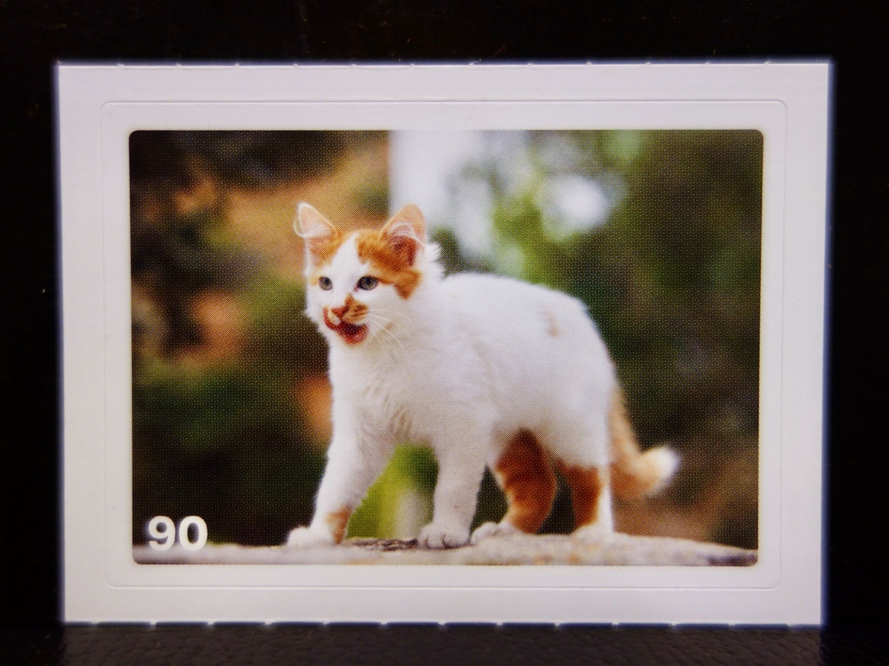 Migros Sammelbilder & Trading cards: MIGROS MANIA Nature Detectives Nr. 90 – Neu und originalverpackt aus Kerzers von djstarsky73