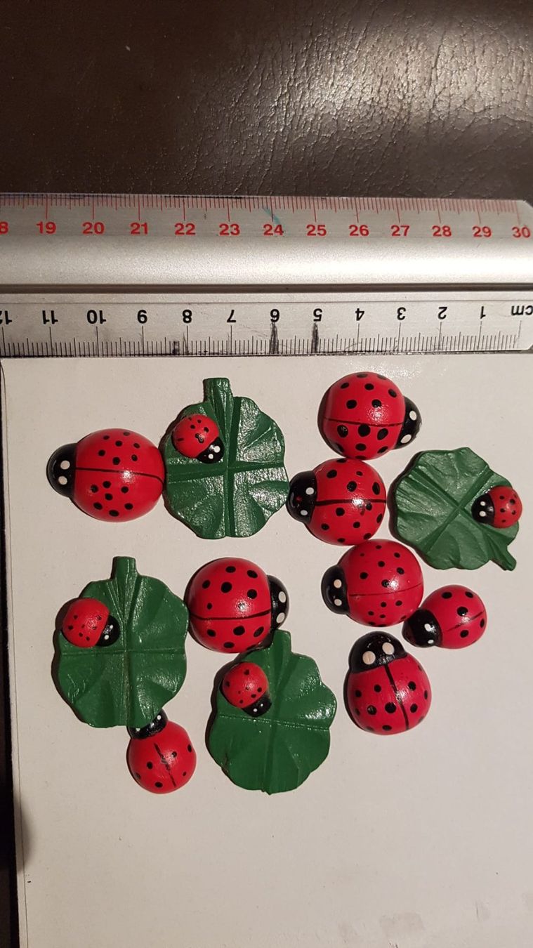 Tutte le decorazioni: Marienkäfer Kleeblatt coccinelles trèfle – Usato da Spiegel b. Bern venduto da Gudi8 1